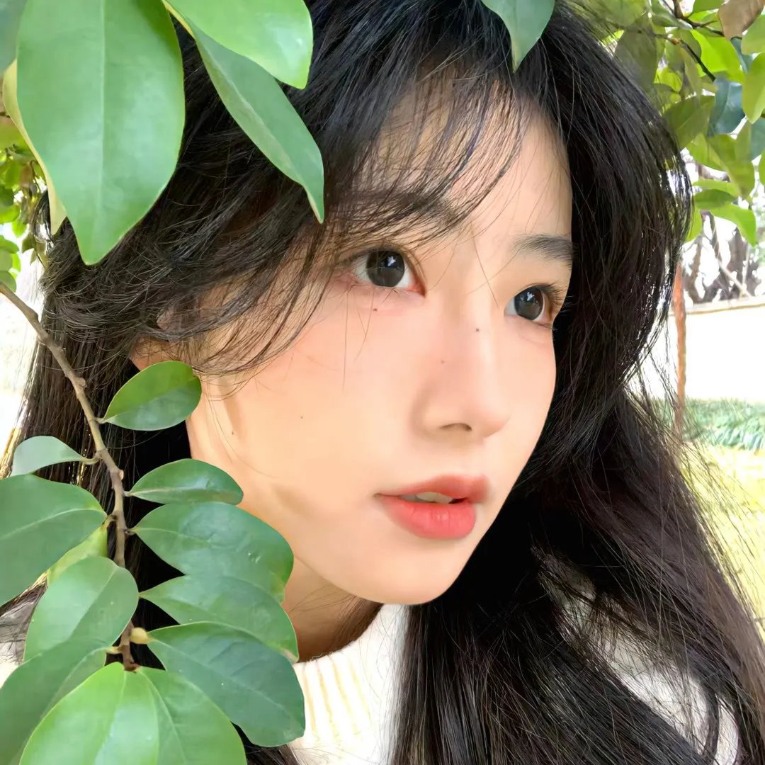 僵尸海狸